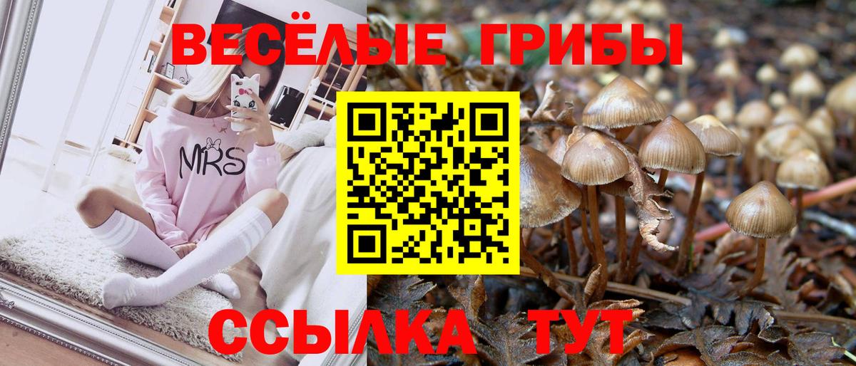 Галлюциногенные грибы мицелий  Вход с VPN  Псилоцибиновые грибы MAGIC MUSHROOMS  Саранск 